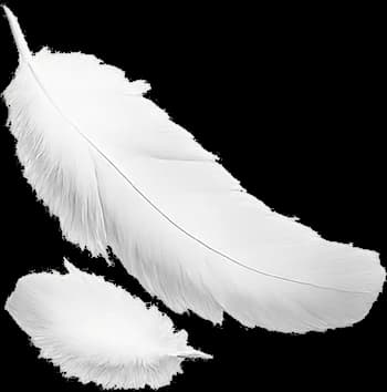 Alchemy_Feather