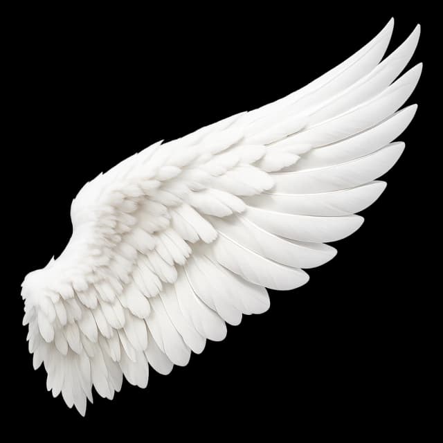 Alchemy_Wing